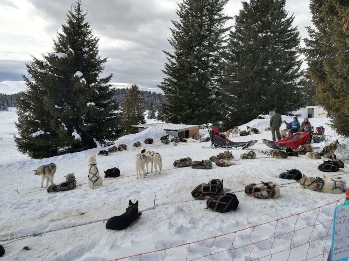 Charmant Studio Cabine Cosy A 100 M Des Pistes Chamrousse Zewnętrze zdjęcie