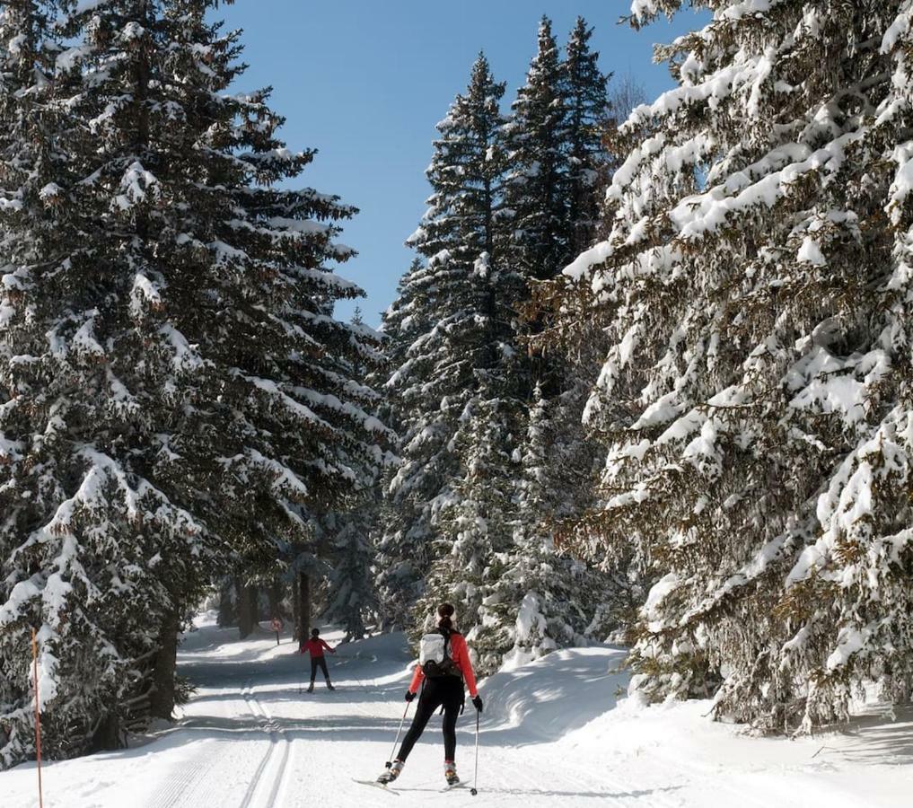 Charmant Studio Cabine Cosy A 100 M Des Pistes Chamrousse Zewnętrze zdjęcie